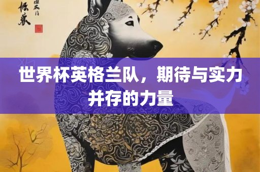 世界杯英格兰队，期待与实力并存的力量广西贺州市华昌新材料有限公司