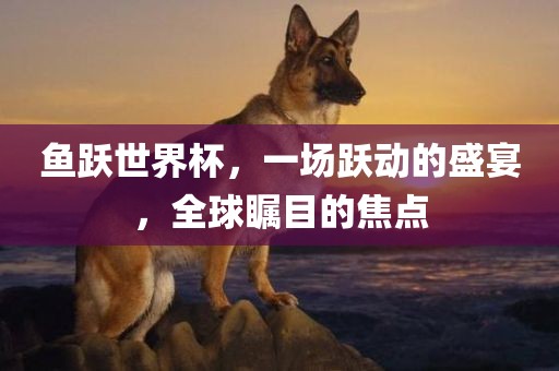 鱼跃世界杯，一场跃动的盛宴，全球瞩目的焦点广西贺州市华昌新材料有限公司