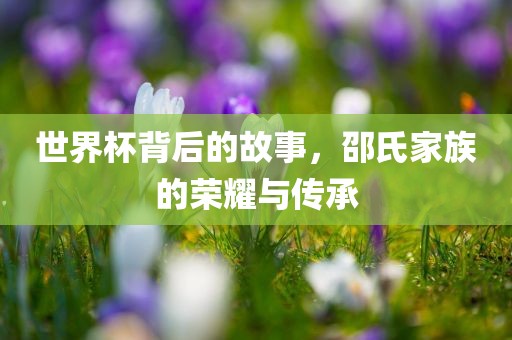 世界杯背后的故事，邵氏家族的荣耀与传承