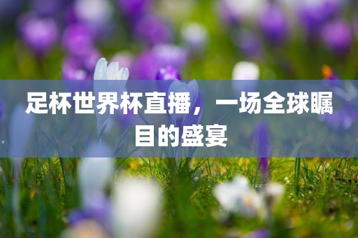 足杯世界杯直播，一场全球瞩目的盛宴广西贺州市华昌新材料有限公司