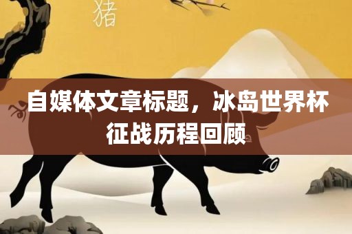 自媒体文章标题，冰岛世界杯征战历程回顾