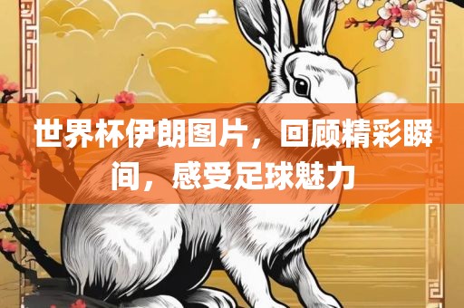 世界杯伊朗图片，回顾精广西贺州市华昌新材料有限公司彩瞬间，感受足球魅力