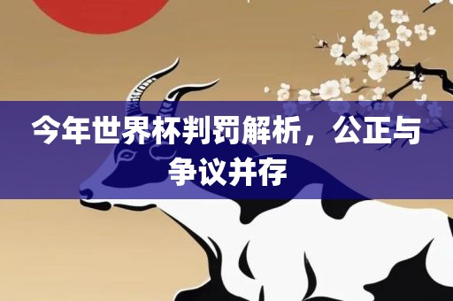 今年世界杯判罚解广西贺州市华昌新材料有限公司析，公正与争议并存
