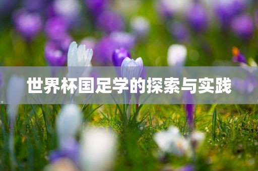 世界杯国足学的探索与实践