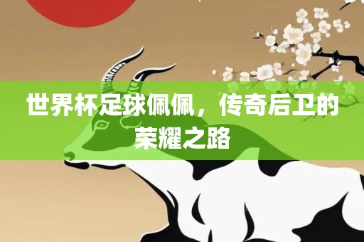 世界杯足球佩佩，传奇后卫的荣耀之路广西贺州市华昌新材料有限公司