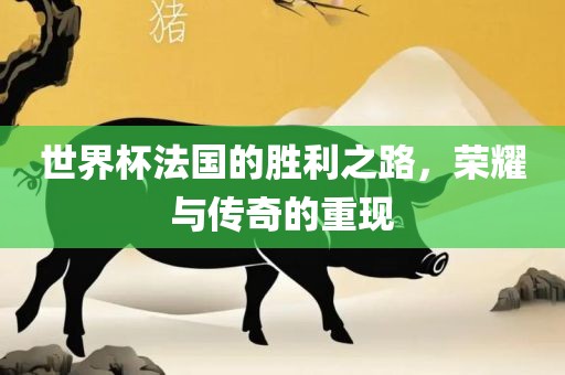 世界杯法国的胜利之路，荣耀与传奇的重现