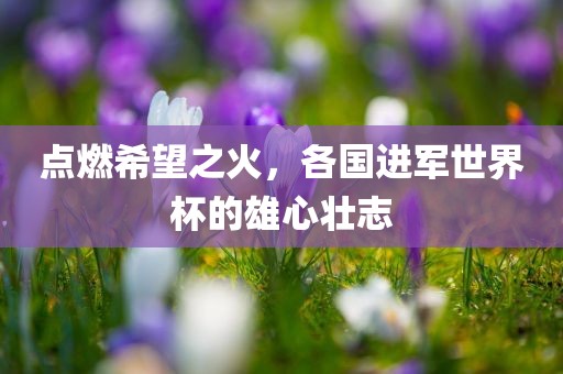 点燃希望之火，各国进军世界杯的雄心壮志广西贺州市华昌新材料有限公司