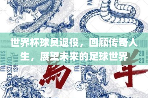 世界杯球员退役，回顾传奇人生，展望未来的足球世界广西贺州市华昌新材料有限公司