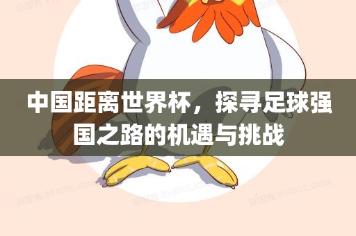 中国距离世界杯，探寻足球强国之路的机遇与挑战