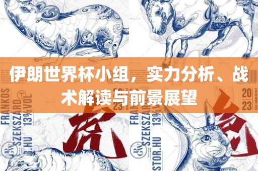 伊朗世界杯小组，实力分析、战术解读与前景展望广西贺州市华昌新材料有限公司