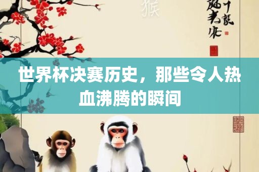 世界杯决赛历史，那些令人热血沸腾的瞬间