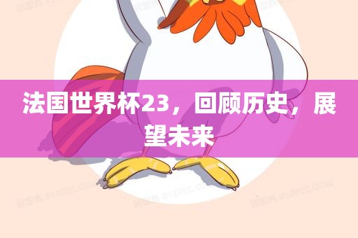 法国世界杯23，回顾历史，展望未来