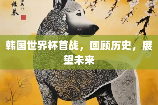 韩国世界杯首战，回顾历史，展望未来广西贺州市华昌新材料有限公司