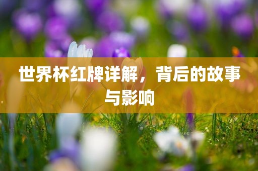 世界杯红牌详解，背后的故事与影响