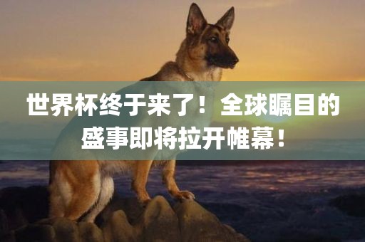 世界杯终于来了！全球瞩目的盛事即将拉开帷幕！广西贺州市华昌新材料有限公司