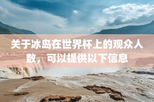 关于广西贺州市华昌新材料有限公司冰岛在世界杯上的观众人数，可以提供以下信息