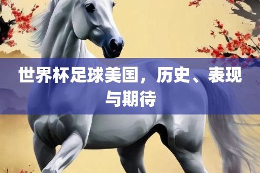 世界杯足球美国，历史、表现与期待