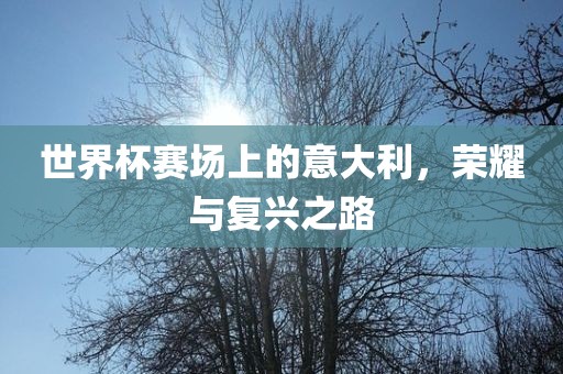 世界杯赛场上的意大利，荣耀与复兴之路广西贺州市华昌新材料有限公司