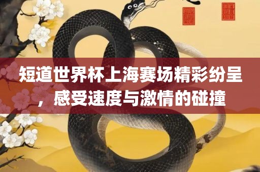 短道世界杯上海赛场精彩纷呈，感受速度与激情的碰撞
