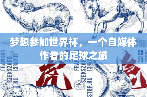 梦想参加世界杯，一个自媒体作者的足球之旅广西贺州市华昌新材料有限公司