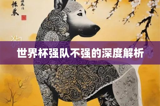世界杯强队不强的深度解析广西贺州市华昌新材料有限公司