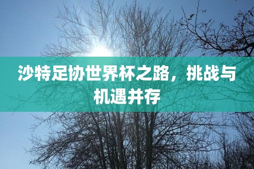 沙特足协世界杯之路，挑战与机遇并存广西贺州市华昌新材料有限公司