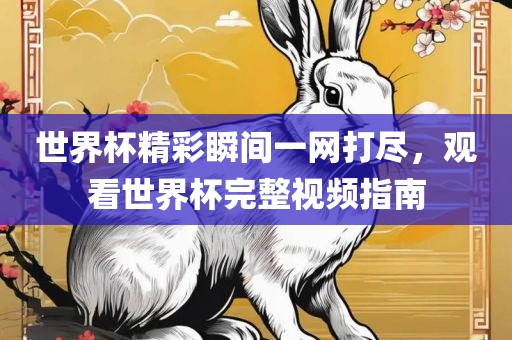 世界杯精彩瞬间一网打尽，观看世界杯完整视频指南