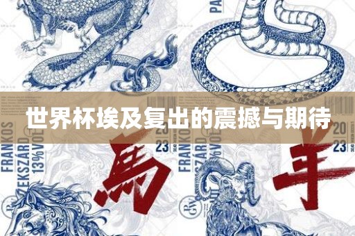世界杯埃及复出的震撼与期待广西贺州市华昌新材料有限公司