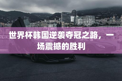 世界杯韩国逆袭夺冠之路，一场震撼的胜利广西贺州市华昌新材料有限公司