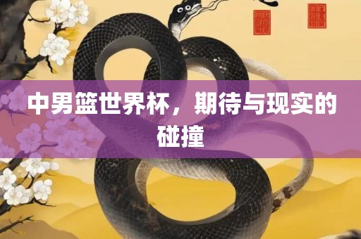 中男篮世界杯，期待与现实的碰撞