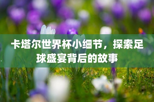 卡塔尔世界杯小细节，探索足球盛宴背后的故事