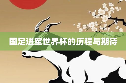 国足进军世界杯的历程与期待