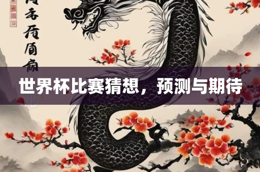 世界杯比赛猜想，预测与期待广西贺州市华昌新材料有限公司
