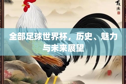 全部足球世界杯，历史、魅力与未来展望广西贺州市华昌新材料有限公司