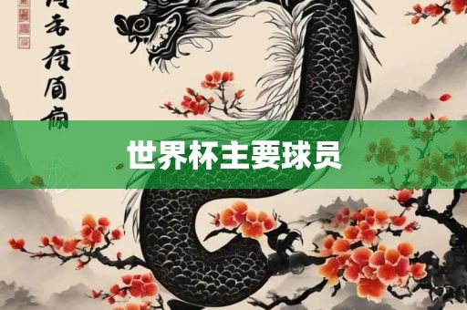 世界杯主要球员