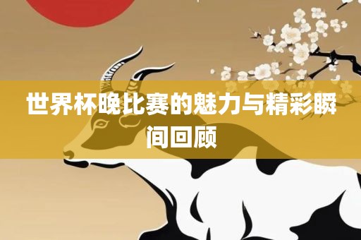 世界杯晚比赛的魅力与精彩瞬间回顾