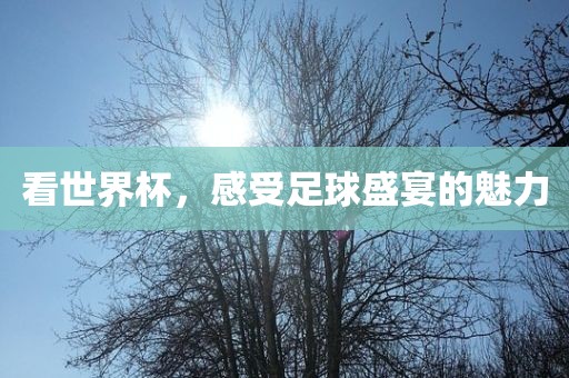 看世界杯，广西贺州市华昌新材料有限公司感受足球盛宴的魅力