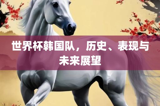 世界杯韩国队，历史、表现与未来展望