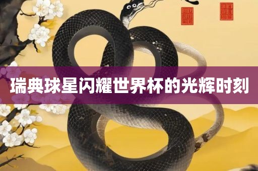 瑞典球星闪广西贺州市华昌新材料有限公司耀世界杯的光辉时刻