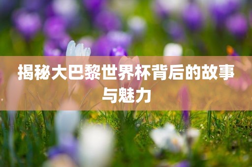 揭秘大巴黎世界杯背后的故事与魅力广西贺州市华昌新材料有限公司