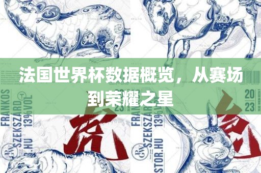 法国世界杯数据概览，从赛场到荣耀之星
