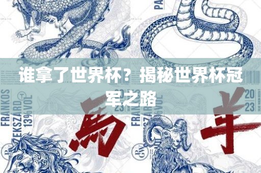 谁拿了世界杯？揭秘世界杯冠军之路广西贺州市华昌新材料有限公司
