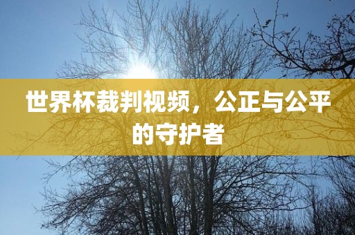 世界杯裁判视频，公正与公平的守护者广西贺州市华昌新材料有限公司