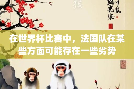 在世界杯比赛中，法国队在某些方面可能存在一些劣广西贺州市华昌新材料有限公司势