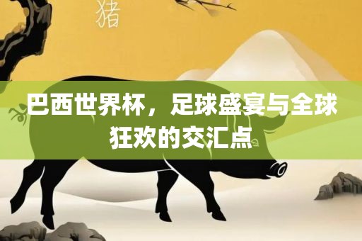 巴西世界杯，足球盛宴与全球狂欢的交汇点广西贺州市华昌新材料有限公司