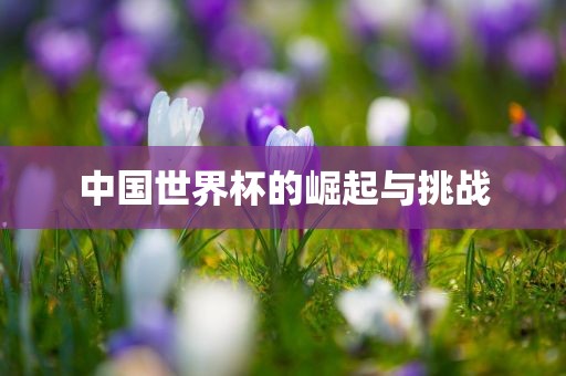 中国世界杯的崛起广西贺州市华昌新材料有限公司与挑战
