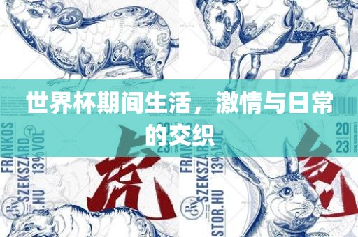 世界杯期间生活，激情与日常的交织广西贺州市华昌新材料有限公司