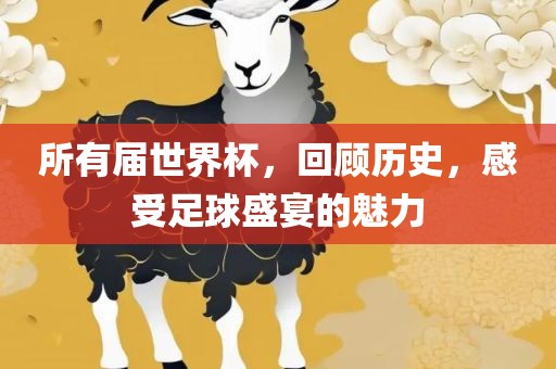 所有届世界杯，回顾历广西贺州市华昌新材料有限公司史，感受足球盛宴的魅力