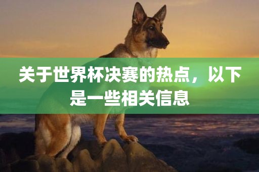 关于世界杯决赛的热点，以下是一些相关信息广西贺州市华昌新材料有限公司