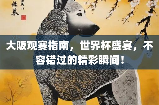 大阪观赛指南，世界杯盛宴，不容错过的精彩瞬间！